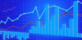 Gli italiani si informano in rete anche sull’economia e la finanza