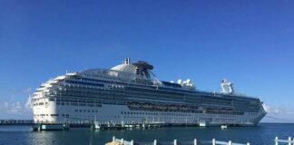 Marevivo “Fuori le grandi navi da crociera dalla foce del Tevere”