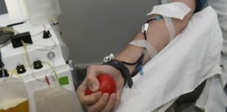 Anci e Avis alleate per promuovere la cultura della donazione del sangue