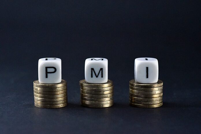 PMI PICCOLA MEDIA IMPRESA