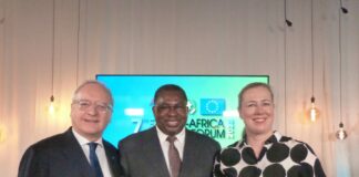 Casasco “Le Pmi europee guardano all’Africa”