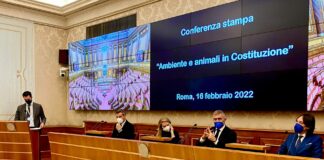 Ambiente in costituzione, UniVerde “Ora leggi a difesa Belpaese”