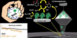 Cnr, biosensori ecosostenibili rilevano molecole tossiche per l’ambiente