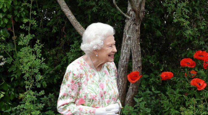 UK, la regina Elisabetta positiva al Covid, sintomi lievi