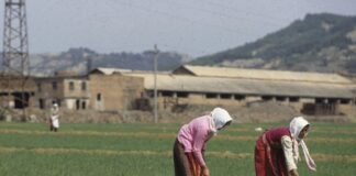 Campania, primo incontro sul tavolo di contrasto al Caporalato