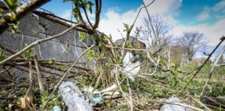 Wwf, 90% persone per un trattato globale contro la plastica in natura