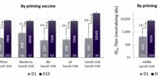 Covid, Sanofi e Gsk pronte a chiedere l’autorizzazione per il vaccino