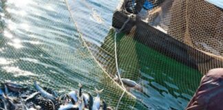 Liguria, Piana “Ok alle modifiche sulla pesca nelle acque interne”