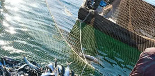 Malta deploys drones to combat illegal fishing