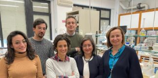 UniPa, studio di Ingegneria selezionato per la rivista “Materials”