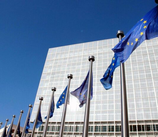 Groenlandia, Ue “Ha una propria autonomia, nessuna discussione con gli Usa sul tema”