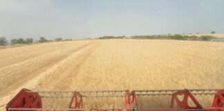 I costi dei prodotti agricoli continuano a salire