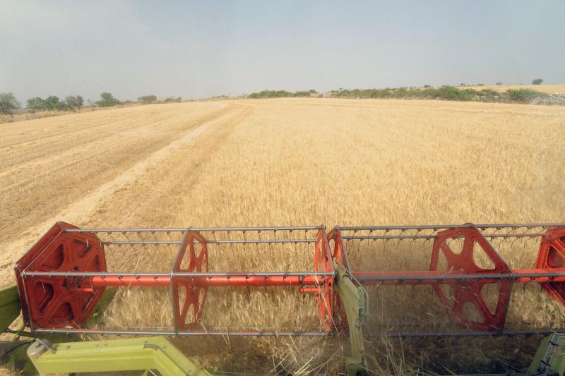 I costi dei prodotti agricoli continuano a salire