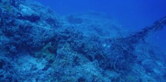 Marevivo, rimossa rete fantasma di 200 metri alle Formiche di Grosseto