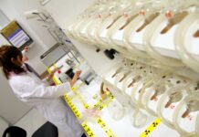 Dal Mur nuovi contributi per Enti scientifici privati. Finanziamento di oltre 1,1 milioni per il 2026