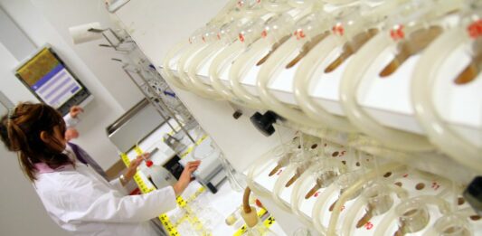 Dal Mur nuovi contributi per Enti scientifici privati. Finanziamento di oltre 1,1 milioni per il 2026