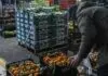 Confagricoltura “Urgono sostegni alle imprese del settore ortofrutticolo”