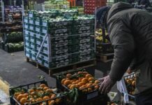 Confagricoltura “Urgono sostegni alle imprese del settore ortofrutticolo”