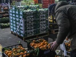 Confagricoltura “Urgono sostegni alle imprese del settore ortofrutticolo”
