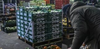 Sardegna, Solinas “Presto sostegno per aziende di cereali e ortofrutta”