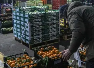 Confagricoltura “Urgono sostegni alle imprese del settore ortofrutticolo”
