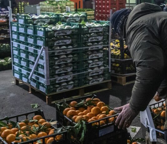 Confagricoltura “Urgono sostegni alle imprese del settore ortofrutticolo”