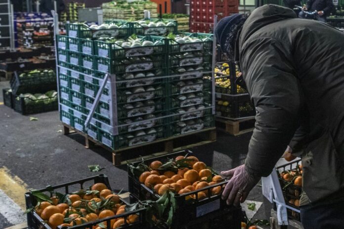 MERCATO GENERALE DI MILANO