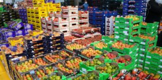 Corte dei Conti, nel 2015-20 aumentano i controlli sull’agroalimentare