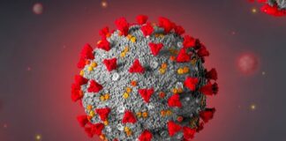 La lattoferrina aiuta a combattere gli effetti del Covid-19