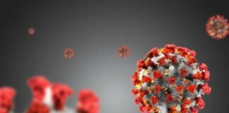 In Calabria 1.946 nuovi casi di Covid e 10 decessi