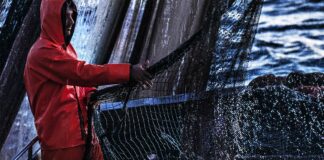 E.Romagna al fianco dei pescatori e delle imprese dell’Adriatico