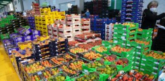 Anci e Slow Food per sistemi alimentari locali più sostenibili