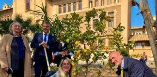 Al liceo “Mamiani” di Roma celebrata la Festa degli Alberi nelle Scuole