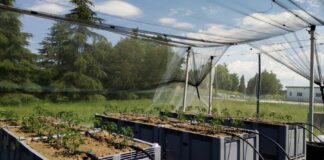 Irrigare e fertilizzare i campi con acque reflue depurate