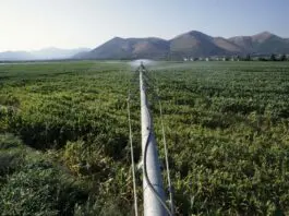 Agricoltura, la Regione Liguria apre una nuova finestra per due bandi da 24,4 milioni