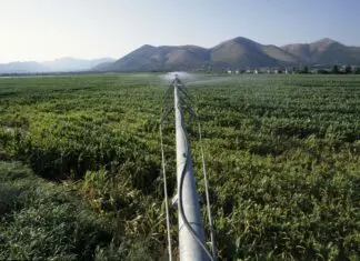Agricoltura, la Regione Liguria apre una nuova finestra per due bandi da 24,4 milioni