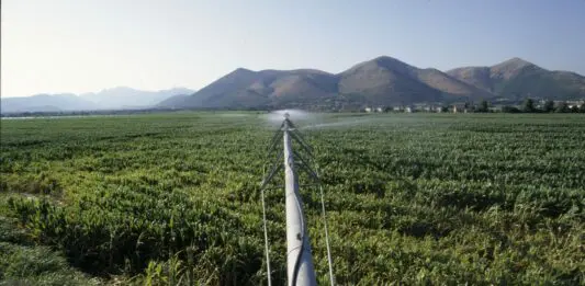 Agricoltura, la Regione Liguria apre una nuova finestra per due bandi da 24,4 milioni