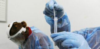 Covid, in Sardegna 3.131 nuovi contagi e 8 decessi