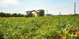 Per le aziende agricole costi in crescita a causa della guerra
