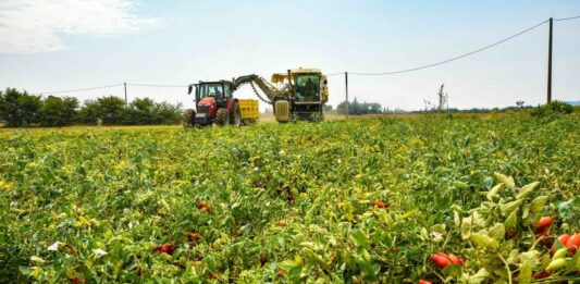 Agricoltura, dalla Regione Emilia-Romagna oltre 11 milioni di euro per finanziare 35 progetti di innovazione