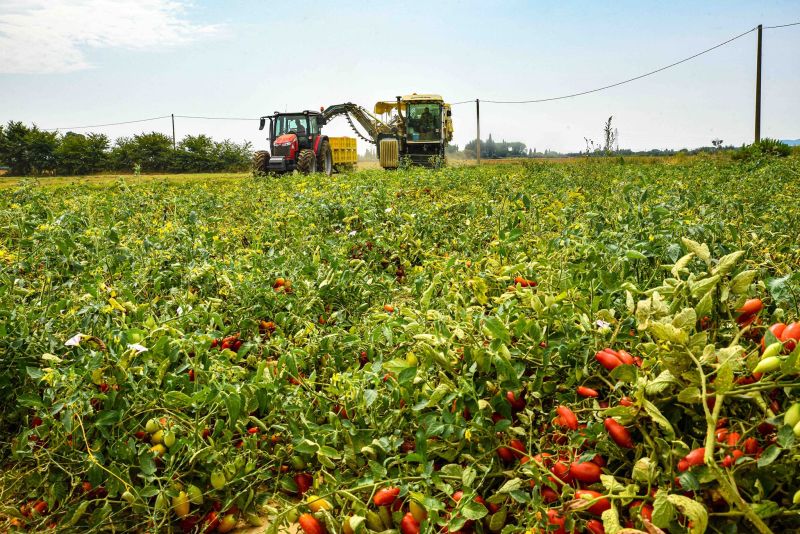 Per le aziende agricole costi in crescita a causa della guerra