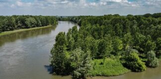 Parte bando per salvare 22 specie animali e 16 ecosistemi in Lombardia