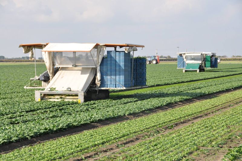 Parlamento Ue chiede azione urgente per garantire sicurezza alimentare