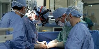 Donazione di organi, protocollo tra Centro Trapianti e comune di Trapani