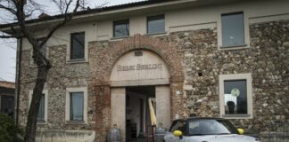 Viaggio a zero emissioni di Mini Electric verso Biosphera 4.0