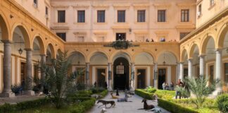 Palermo, il “Branco” di Vitali arriva nella sede di Giurisprudenza