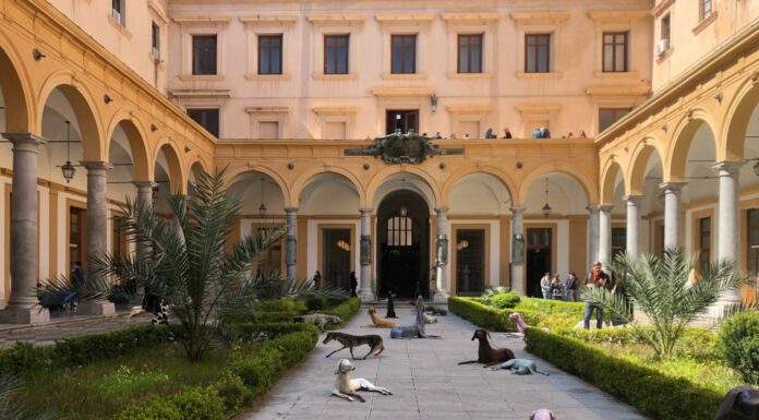 Palermo, il “Branco” di Vitali arriva nella sede di Giurisprudenza