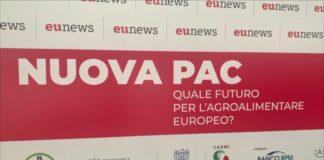 Ucraina, Patuanelli “Rinviare di un anno l’entrata in vigore della Pac”