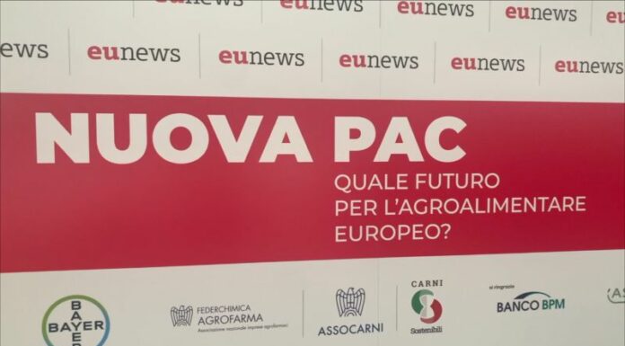 Ucraina, Patuanelli “Rinviare di un anno l’entrata in vigore della Pac”