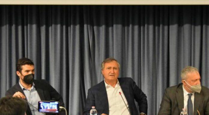 Venezia, 333 milioni per il “Bosco dello Sport”